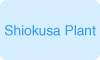 Shiokusa Plant